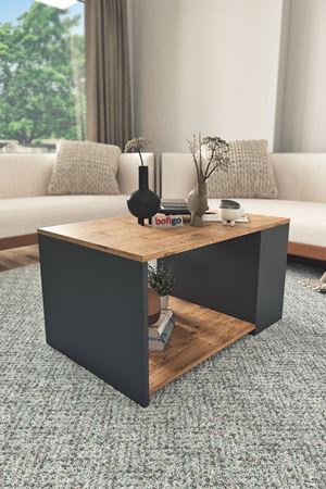 Bofigo Orta Sehpa 2 Raflı Sehpa Dekoratif Orta Sehpa Yiğit Çam-Antrasit