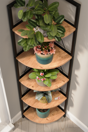 15-15-02 Metal Corner Bookshelf PINE
