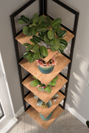 15-18-02 Selanik Corner Bookshelf PINE