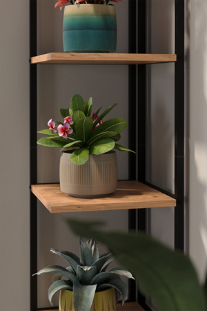 15-18-02 Selanik Corner Bookshelf PINE