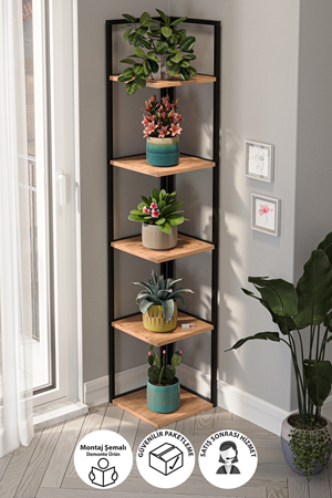 15-18-02 Selanik Corner Bookshelf PINE