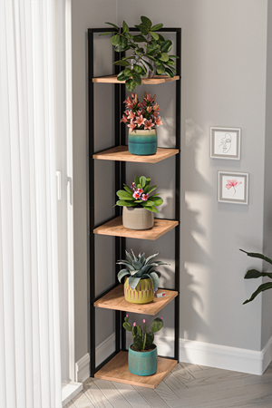 15-18-02 Selanik Corner Bookshelf PINE