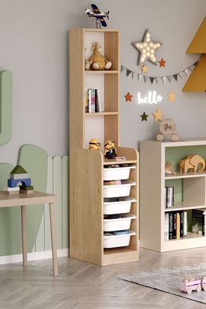 12-37-08 Derya Cabinet with 5 Basket 3 Shelves  ANTHRACITE