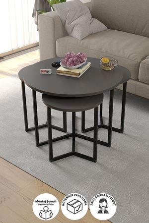 Bofigo 4lü Orta Sehpa Yan Sehpa Dekoratif Sehpa Metal Sehpa Yonca Antrasit