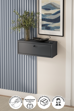 14-05-08 Bofigo Duru Wall-Mounted Console Table ANTHRACITE