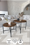 22-22-17 2 Sets Metal Coffee Table LIDYA